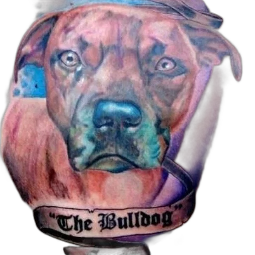 photorealistic, watercolor, colorful, tattoo, bulldog, face, text, ribbon transparent PNG cut-out