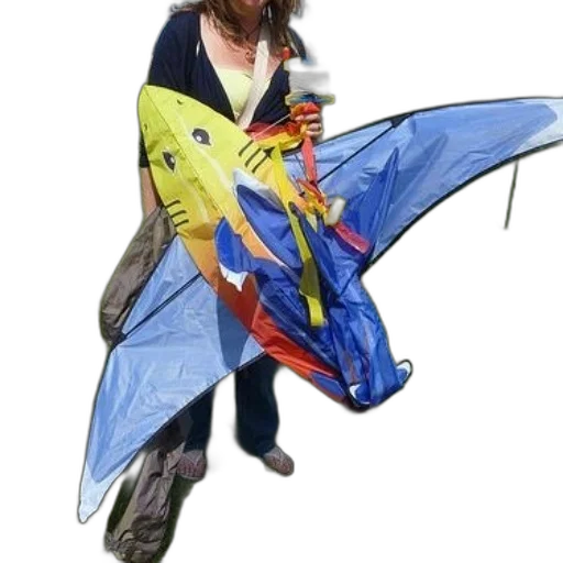 umbrella, jacket, dragon, weapon transparent PNG cut-out