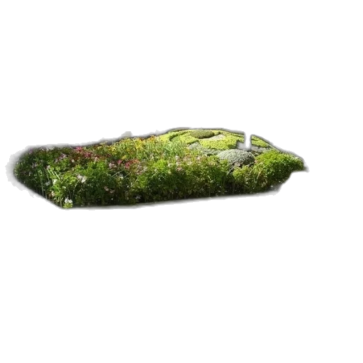 car, tree, shoes, bottle, 3d render, photorealistic, concept art, fantasy art transparent PNG cut-out