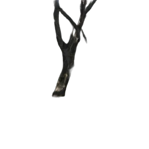 staff, crown, jewelry, tree, 3d render, photorealistic, concept art, fantasy art transparent PNG cut-out