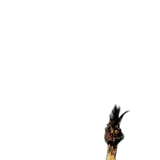 staff, weapon, sword, animal, concept art, pixel art, fantasy art, 3d render transparent PNG cut-out