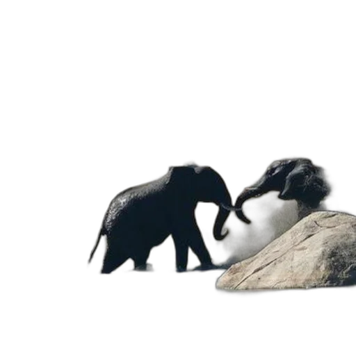 animal, creature, 3d render, concept art, photorealistic, forest, two, elephants transparent PNG cut-out