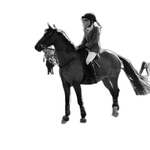 animal, jacket, staff, photorealistic, concept art, black, white, photo transparent PNG cut-out