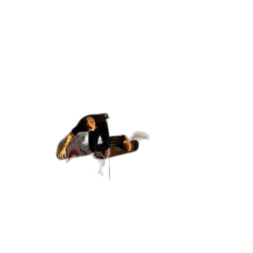 hair, shoes, creature, animal, 3d render, outer space, skateboarder, performs transparent PNG cut-out