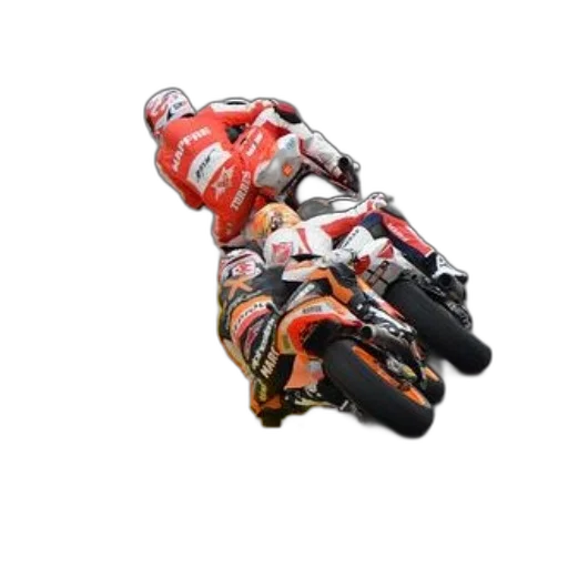 animal, photorealistic, two, motorcycle, racers, action, track, colorful transparent PNG cut-out