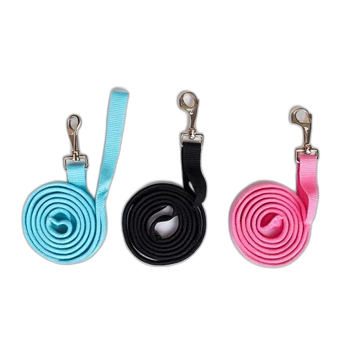 jewelry, staff, set, three, colorful, dog, leashes, different transparent PNG cut-out
