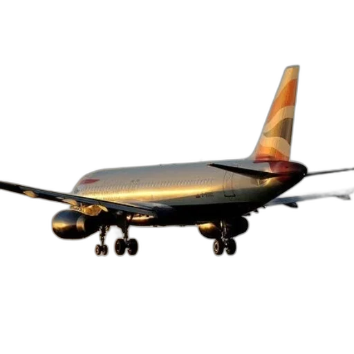 staff, animal, weapon, photorealistic, 3d render, concept art, british, airways transparent PNG cut-out