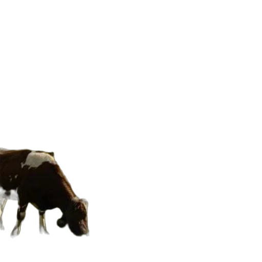 animal, creature, food, weapon, 3d render, concept art, photorealistic, pixel art transparent PNG cut-out
