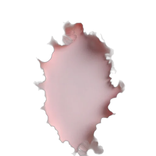 crown, flower, hair, face transparent PNG cut-out