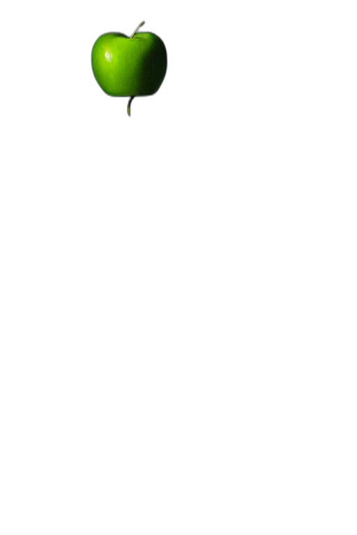flower, staff, tree, weapon transparent PNG cut-out
