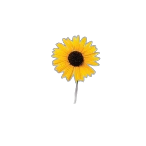 flower, staff, jewelry, crown, 3d render, photorealistic, pixel art, oil painting transparent PNG cut-out