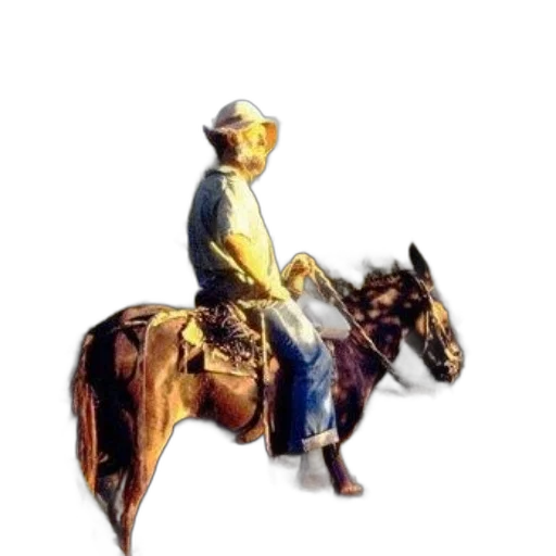 staff, hat, animal, jewelry, oil painting, concept art, photorealistic, pixel art transparent PNG cut-out