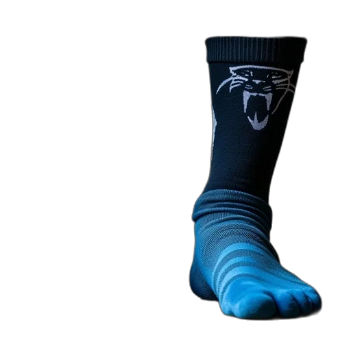 shoes, blue, carolina, panthers transparent PNG cut-out