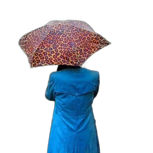 umbrella, dress, hat, jacket, photorealistic, concept art, 3d render, rain transparent PNG cut-out