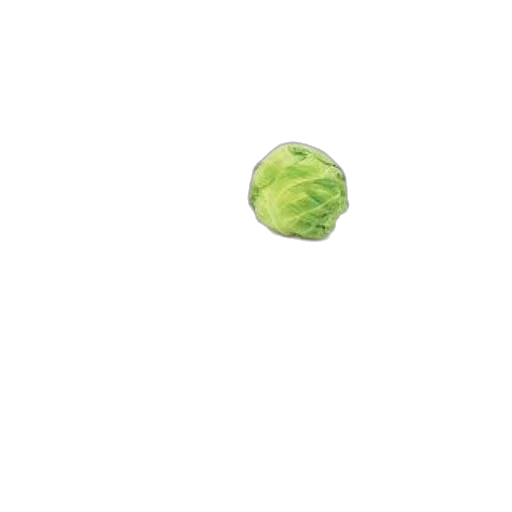 food, tree, flower, umbrella transparent PNG cut-out