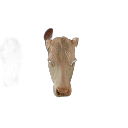 animal, creature, mask, face, 3d render, photorealistic, concept art, pixel art transparent PNG cut-out