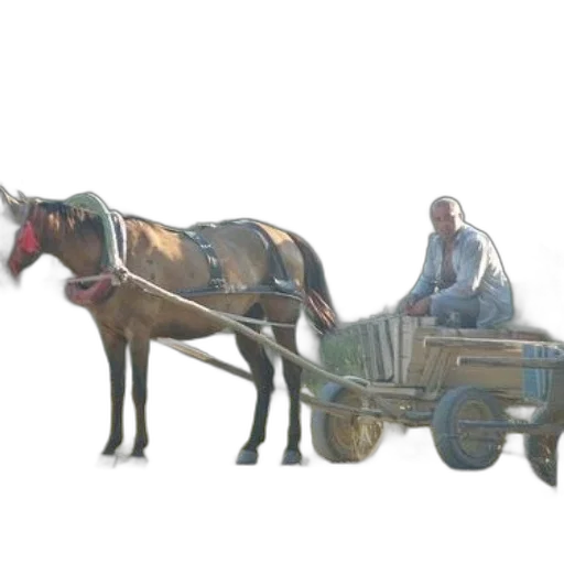 car, animal, robot, furniture, concept art, 3d render, photorealistic, oil painting transparent PNG cut-out