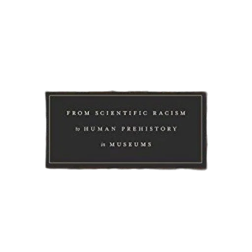 furniture, earth tones, monochrome, bone, rooms, scientific, racism, human transparent PNG cut-out