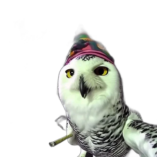 animal, hat, staff, vaporwave, 3d render, photorealistic, owl, party transparent PNG cut-out