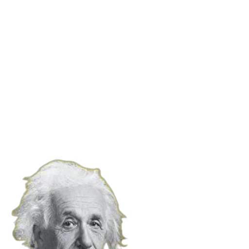 face, hair, mask, animal, photorealistic, pixel art, 3d render, vaporwave transparent PNG cut-out