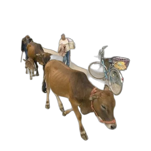 jewelry, animal, 3d render, concept art transparent PNG cut-out
