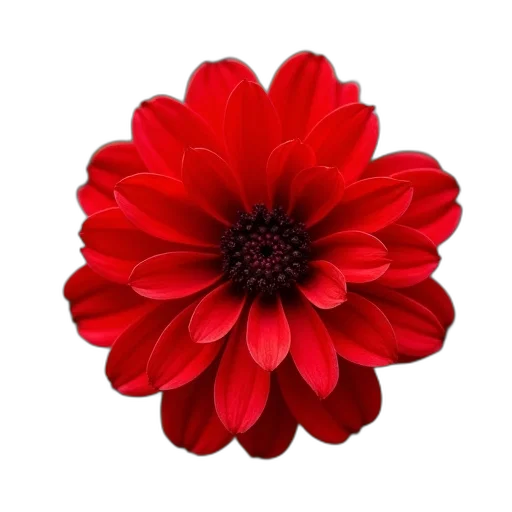flower, crown, jewelry, staff, photorealistic, 3d render, oil painting, pixel art transparent PNG cut-out