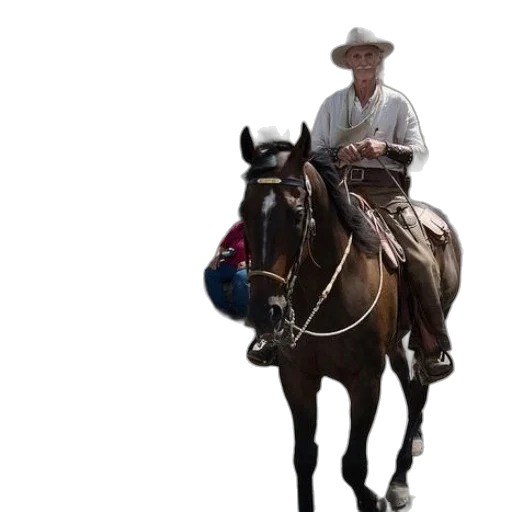 hat, staff, animal, photorealistic, man, horse, street, scene transparent PNG cut-out
