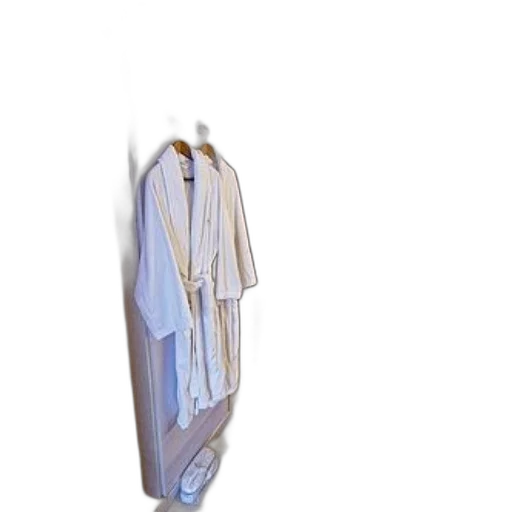dress, jacket, staff, jewelry, 3d render, concept art, photorealistic, vaporwave transparent PNG cut-out