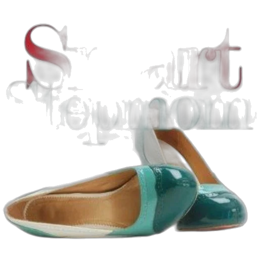 shoes, 3d render, smart, stepmom, book, cover, features, pair transparent PNG cut-out