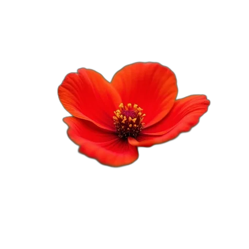 flower, crown, jewelry, staff, photorealistic, 3d render, oil painting, pixel art transparent PNG cut-out