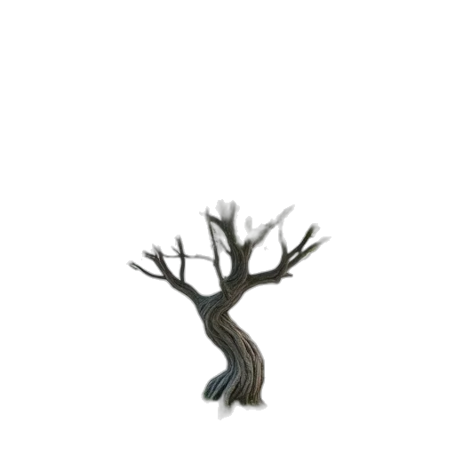 tree, hair, creature, crown transparent PNG cut-out