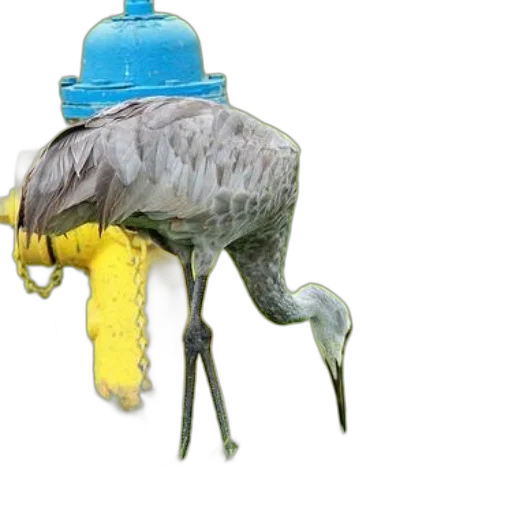 hat, animal, creature, mask, 3d render, concept art, photorealistic, watercolor transparent PNG cut-out