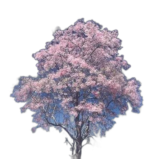 tree, flower, crown, dress, photorealistic, 3d render, watercolor, oil painting transparent PNG cut-out