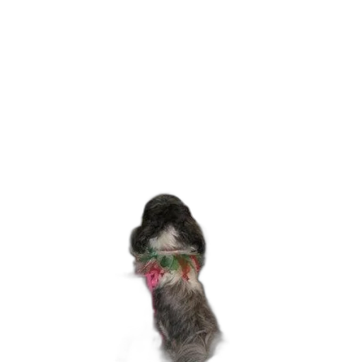 hat, animal, staff, creature, photorealistic, 3d render, dog, wearing transparent PNG cut-out