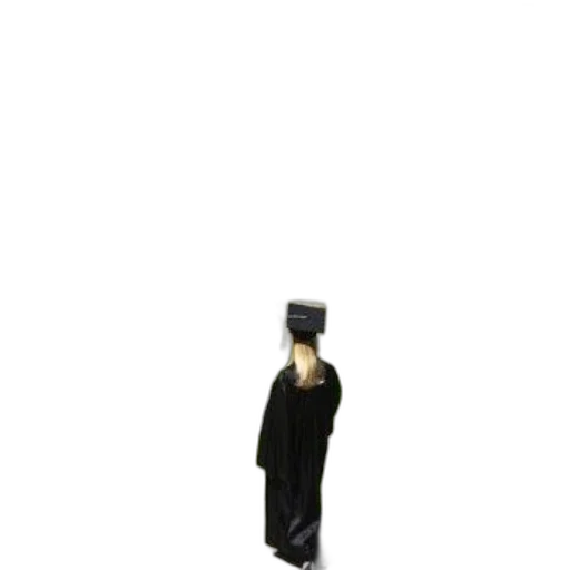 staff, hat, dress, umbrella, 3d render, concept art, photorealistic, pixel art transparent PNG cut-out