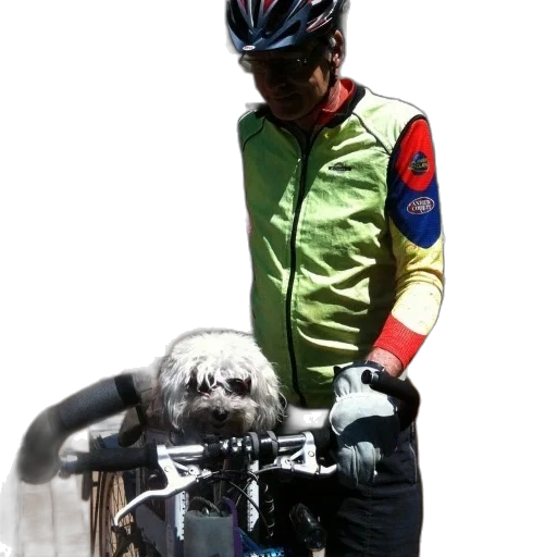 jacket, staff, animal, photorealistic, 3d render, man, yellow, vest transparent PNG cut-out