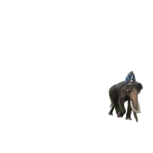 animal, creature, hat, car, 3d render, concept art, pixel art, photorealistic transparent PNG cut-out