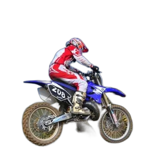 animal, 3d render, photorealistic, motocross transparent PNG cut-out