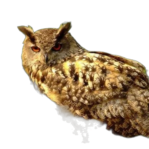 animal, staff, creature, face, photorealistic, 3d render, concept art, pixel art transparent PNG cut-out