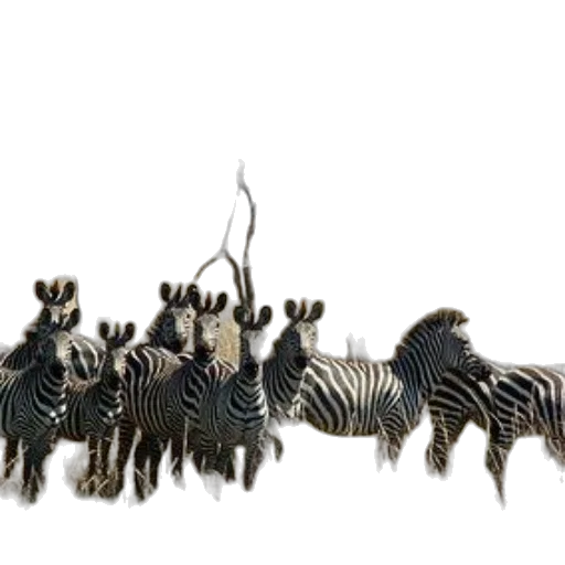 animal, staff, jewelry, hair, 3d render, concept art, forest, herd transparent PNG cut-out
