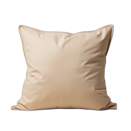 furniture, photorealistic, 3d render, earth tones, golden, plain, beige, pillow transparent PNG cut-out