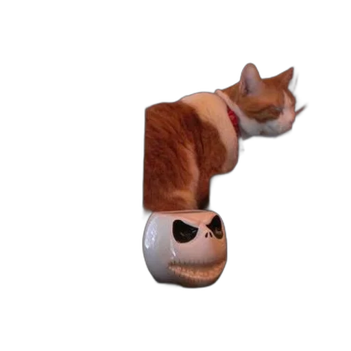 hat, animal, mask, robot transparent PNG cut-out