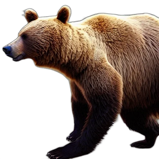 animal, creature, photorealistic, concept art transparent PNG cut-out