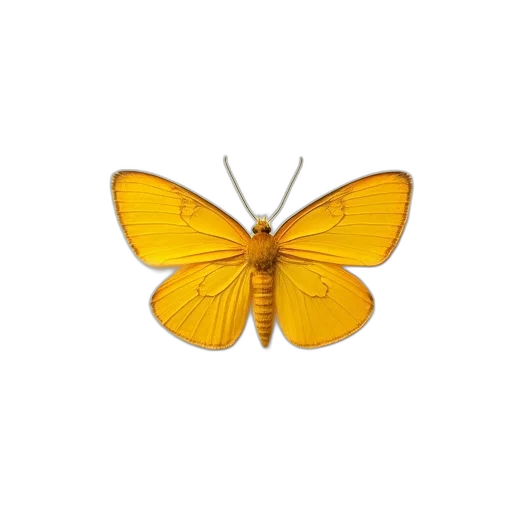 animal, jewelry, staff, crown, 3d render, photorealistic, concept art, pixel art transparent PNG cut-out