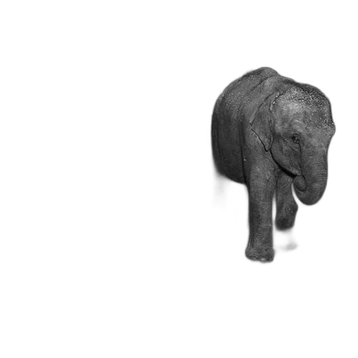 animal, creature, staff, hat, 3d render, photorealistic, concept art, pencil sketch transparent PNG cut-out