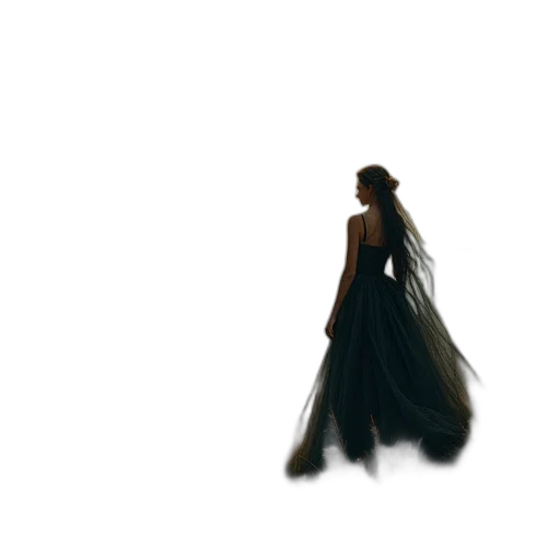 dress, jewelry, hair, crown transparent PNG cut-out
