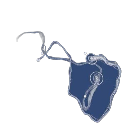 jewelry, staff, umbrella, crown, concept art, 3d render, multiple, target transparent PNG cut-out