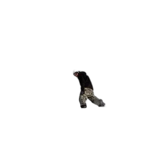 shoes, jacket, creature, animal transparent PNG cut-out
