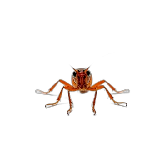 animal, creature, crown, dragon, pixel art, 3d render, concept art, photorealistic transparent PNG cut-out