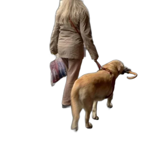 dress, animal, staff, creature, concept art, photorealistic, 3d render, pixel art transparent PNG cut-out